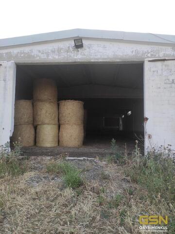 18-İZMİR DİKİLİ BAHÇELİ MAHALLESİNDE DENİZE 3. PARSEL 48.000 M2 İÇERİSİNDE KURULU 4000 BÜYÜKBAŞLIK RUHSATLI ÇİFTLİK